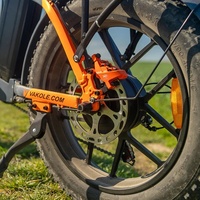 Bicicletta elettrica pieghevole Vakole Y20 Pro con pneumatici fat da 20x4.0, per lunghe distanze, bici elettrica pieghevole multiuso.