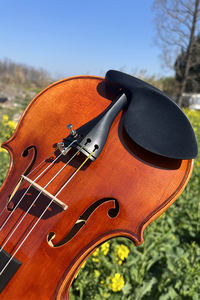 <span class=keywords><strong>Violon</strong></span> professionnel Sinomusik, matériaux européens, <span class=keywords><strong>atelier</strong></span> Winner Master Guan Shang Chi, instrument à cordes peint à la main à l'huile - Product Image 4