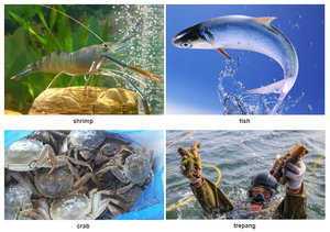 <span class=keywords><strong>Bacillus</strong></span> <span class=keywords><strong>Laterosporus</strong></span> para cultivo agrícola/aditivos para piensos para acuicultura, a prueba de agua - Product Image 3