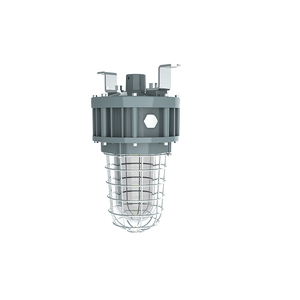 Luminaire anti-explosion en verre trempé de classe 1, division 1, avec protection en acier inoxydable, 20W/30W/40W, homologué UL ETL - Product Image 1
