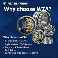 Roulement à rouleaux cylindriques fendus à double rangée de haute précision WZA Steel Mill COP.222S800-2SRS en acier chromé, installation facile
