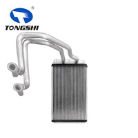 TONGSHI - Núcleo de Calefacción de Aluminio para Kia Amanti 2004-2009, Compatible con Opirus (GH) 2004-2009