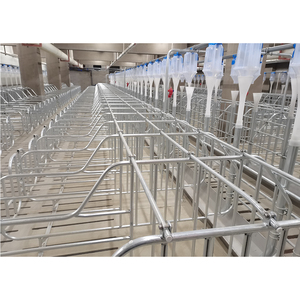 Lợn chăn nuôi thiết bị bút mang thai Thùng gian hàng cho lợn nái nhúng nóng mạ kẽm mang thai Lồng cho lợn - Product Image 5