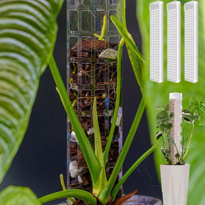 Poteau de mousse en plastique pour plantes Monstera Poteaux de plantes pour plantes grimpantes Support de plantes pour plantes d'intérieur Fonctionne avec Sphagnum Mos - Product Image 3