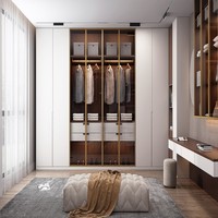 Dressing Moderne Personnalisé avec Portes en Verre et Éclairage LED pour Chambre de Luxe – Solutions de Rangement Optimales