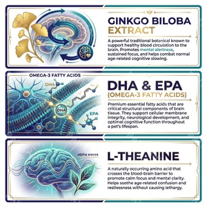 Suplemento Premium en Polvo para la Salud Cognitiva de Mascotas, con Ginkgo y DHA, para Perros y Gatos, Marca Privada OEM - Product Image 3