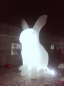 Prix <span class=keywords><strong>de</strong></span> gros oxford matériel 5m personnalisé gonflable lapin Art pièces pour <span class=keywords><strong>Musée</strong></span> Van <span class=keywords><strong>De</strong></span> Geest - Product Image 2