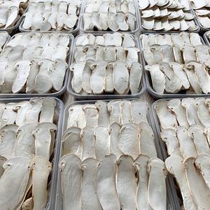 FD Matsutake Rodajas secas No Ganoderma Lucidum Especialidad de montaña Nevada no alpina Sepia fresca liofilizada de Yunnan - Product Image 2