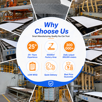 Plaque de plafond en fibre minérale texturée sablée, laine minérale acoustique blanche lisse, panneau de plafond suspendu