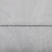 Bâche PE 100% Transparente avec Traitement Anti-UV pour Serre Agricole, Couverture de Plantation (Cerisier ou Autres Végétaux)