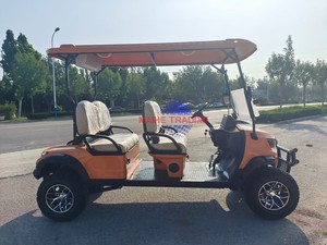 Venta Rápida de Carritos de Golf de 2 y 4 Plazas, Oferta Especial - Product Image 5