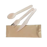 Cuillères à dessert miniatures en bois biodégradables et compostables, couverts jetables, ustensiles de cuisine, vaisselle