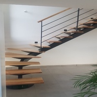 Maîtrise brillante cadre durable élégant forme futuriste pointue installation artisanale Prestige Unique Mono Stringer escalier droit
