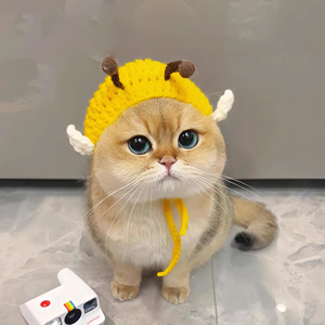 Pañuelo para la Cabeza Tejido a Mano para Mascotas, Estilo Punk Rock, Color Sólido, Accesorio de Disfraz para Gatos y Perros sin Pelo, para Todas las Estaciones - Product Image 6