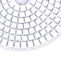 Disques de polissage diamantés humides de 4 pouces, personnalisés OEM pour le ponçage du béton, du marbre et du granit