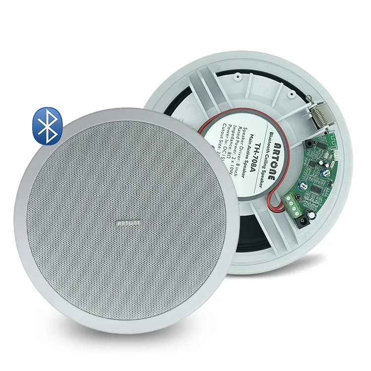 Active Powered BT5.0 TH-708A wall amount Speaker
