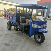 Tricycle utilitaire diesel robuste de 4 tonnes, idéal pour divers terrains, prix d'usine, bonne qualité, pour agriculteurs