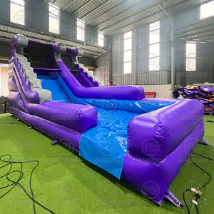 Toboggan aquatique personnalisé violet, château gonflable pour adultes et enfants, toboggan gonflable sec combiné <span class=keywords><strong>avec</strong></span> <span class=keywords><strong>piscine</strong></span> pour la location de fêtes et d'événements - Product Image 6