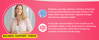 Vitamin Permen Kunyah ODM Private Label untuk Kesehatan Wanita - Suplemen Pendukung Energi & Imunitas, 2 Permen Kunyah