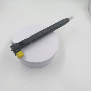 EJBR04601D convient à l'injecteur de carburant Double Dragon <span class=keywords><strong>Landi</strong></span> 2.7T Delphi A6650170321 Lester cinq cylindres - Product Image 2