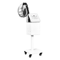 Peluquería Ozono Nano Micro Mist Hair Spa Máquina de vapor Venta caliente Profesional Cuidado del cabello Máquina de pulverización Peluquería