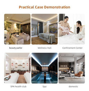 Btws Professional, 15 ans d'expérience, capsule de sudation haute performance, pod chauffant pour centre de bien-être commercial - Product Image 6