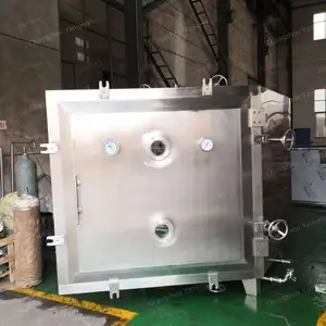 50kg/h Food Grade Stainless Steel Vacuum Dryer Steam Heating For Fruit Vegetable Snack Herb Dehydration For Plastics Processing