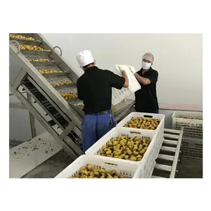 High Quality Puree Production Line For Fruit