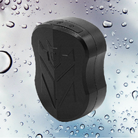 ST-905 gratuit SinoTrack Web APP GSM GPRS SMS GPS SOS Tracker