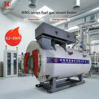 Chaudière à vapeur industrielle horizontale basse pression à gaz ou mazout série WNS 0,5t-20t pour l'industrie alimentaire, textile et chimique