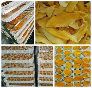 Heat Pump Preserved Fruit Dryer Machine Preserved Fruit Drying Machine Preserved Fruit Dryer Machine - Product Image 2