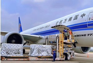 Servicio chárter aéreo de Zimbabue | Carga/maquinaria a granel a través de Air + Express a Sudáfrica (seguro de 7-9 días incluido) - Product Image 5