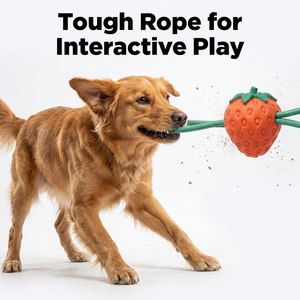 Juguetes Resistentes y Duraderos para Perros, Juguetes Interactivos para Cachorros, Juguetes de Cuerda para Perros Pequeños, Juguetes para Pitbulls, para Masticadores Agresivos - Product Image 4