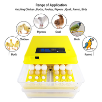 Incubadora de Huevos Tipo HT-96 con Capacidad para 96 Huevos, Máquina Incubadora de Huevos de Gallina, Máquina para la Producción de Huevos para Uso Doméstico