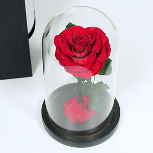 Regalo de San Valentín, <span class=keywords><strong>El</strong></span> <span class=keywords><strong>Principito</strong></span> de Alto Nivel de Diseño, para Flor Eterna, Cubierta de Cristal, Rosa Real, Adornos, Transfronterizo, Sin Luz - Product Image 1