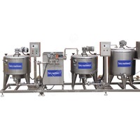 Automatique 100 200 300 500L Litre Lait Jus Pasteurisateur Machine à traire Traitement laitier Yaourt Équipement de production