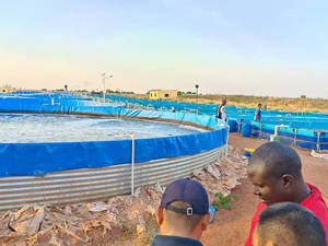 Galvanizado Aço Aquaculture Equipamento Jardim Artificial Tarpaulin Liner <span class=keywords><strong>Fish</strong></span> Pond Aerador & Air Pump - Product Image 3