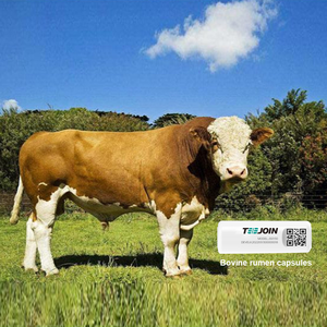 Chăn nuôi gia sú<span class=keywords><strong>c</strong></span> và <span class=keywords><strong>c</strong></span>ừu chăn nuôi thông minh viên nang dạ <span class=keywords><strong>c</strong></span>ỏ bò (<span class=keywords><strong>c</strong></span>ó pH) <span class=keywords><strong>c</strong></span>ó thể theo dõi sứ<span class=keywords><strong>c</strong></span> khỏe gia sú<span class=keywords><strong>c</strong></span> theo thời gian thự<span class=keywords><strong>c</strong></span> - Product Image 3