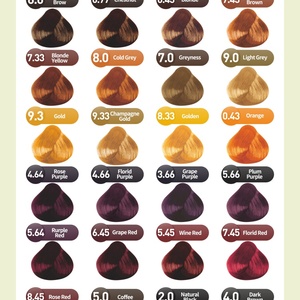 สเปรย์<span class=keywords><strong>ผม</strong></span>สีขาวชั่วคราวสำหรับผู้<span class=keywords><strong>ชาย</strong></span>พร้อมครีมปกปิดรากสีเทา - Product Image 6