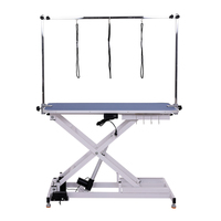 Table de toilettage de chien de levage électrique direct d'usine équipement de toilettage pour animaux de compagnie écologique de luxe Offre Spéciale pour salons d'animaux de compagnie