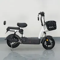 Bicicleta Eléctrica para Adultos, 500W, 48V, 20ah, Motor sin Escobillas, Batería de Plomo-Ácido