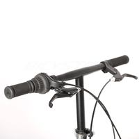 L'usine en gros vélo pliant 16 en fibre de carbone vélo pliant dahon vélo pliant
