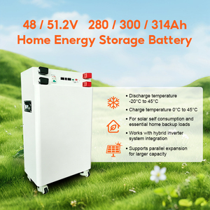 Système de batterie de stockage d'énergie domestique LiFePO4 48V 314Ah 6000Ah, sur pied, avec roues, CAN - Product Image 3