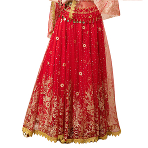 Robe de princesse circulaire grande et exquise pour femmes avec imprimé floral doré et dentelle pour la danse du ventre indienne, <span class=keywords><strong>jupe</strong></span> mi-longue - Product Image 1
