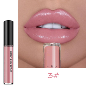 Vente en gros <span class=keywords><strong>de</strong></span> rouge à lèvres liquide mat coloré, haute pigmentation, imperméable, longue tenue, lisse, gloss à lèvres, étiquette privée, logo personnalisé - Product Image 4