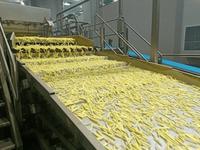 Industriële frituurmachine voor aardappelchips, friet, zoete aardappelchips, bananenchips, cassavechips en groentesnacks