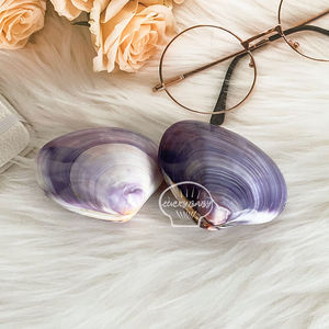 Concha <span class=keywords><strong>de</strong></span> Almeja Natural <span class=keywords><strong>de</strong></span> Color Brillante, Concha <span class=keywords><strong>de</strong></span> Almeja Morada <span class=keywords><strong>de</strong></span> Doble Capa, Venta al por Mayor <span class=keywords><strong>de</strong></span> Artesanías para Exhibición en Ventanas - Product Image 5