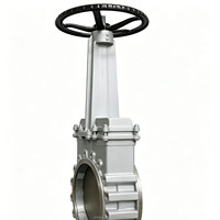 Vanne à opercule SS304 DN50-DN600 à tige montante, commande manuelle, PN10, pour conduites industrielles d'eau et d'eaux usées