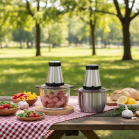 Mini hachoir à viande électrique en acier inoxydable, hachoir alimentaire domestique, moteur à courant continu, vitesse variable, capacité de 2,1 à 3 L, puissance de 500 W, faible bruit