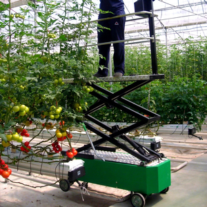 Nouveau chariot électrique de haute qualité pour rail métallique, avec élingue à câble métallique de 0,5 tonne, télécommandé, pour serres agricoles et utilisation pour tomates et légumes - Product Image 1